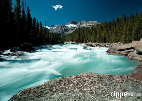 18大國際展團齊聚3月北京cippe,共謀行業(yè)發(fā)展！(圖3)